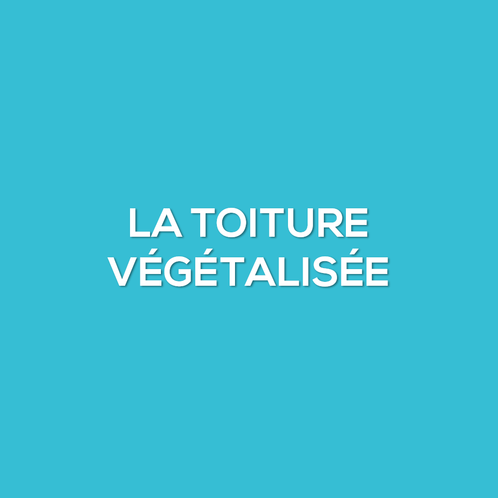 La toiture végétalisée