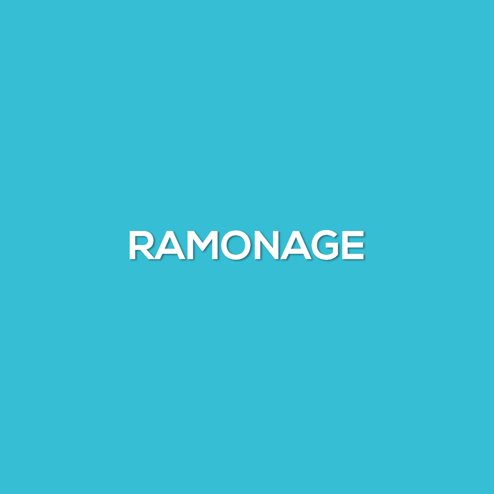 Ramonage