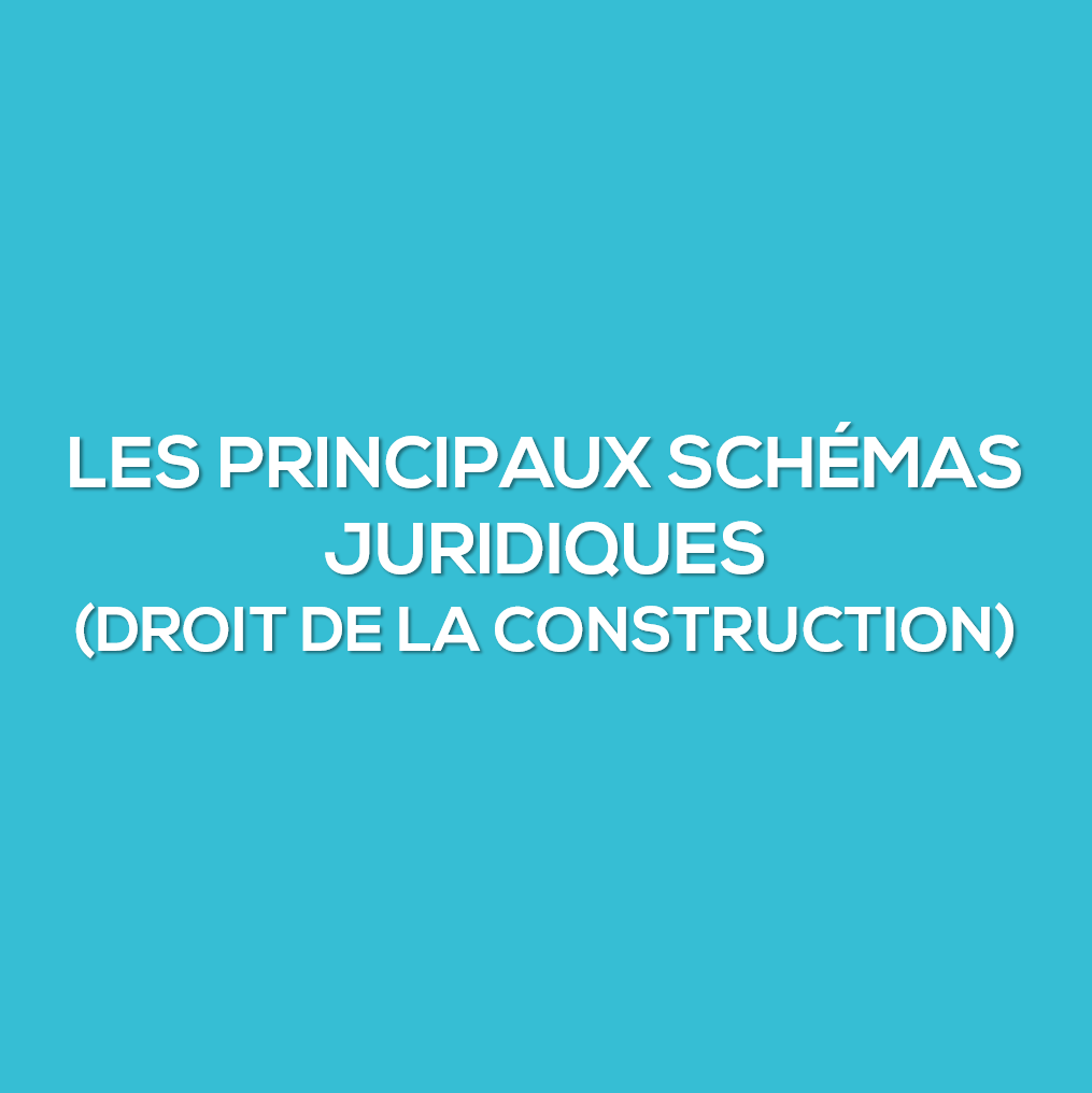 Les principaux schémas juridiques d&