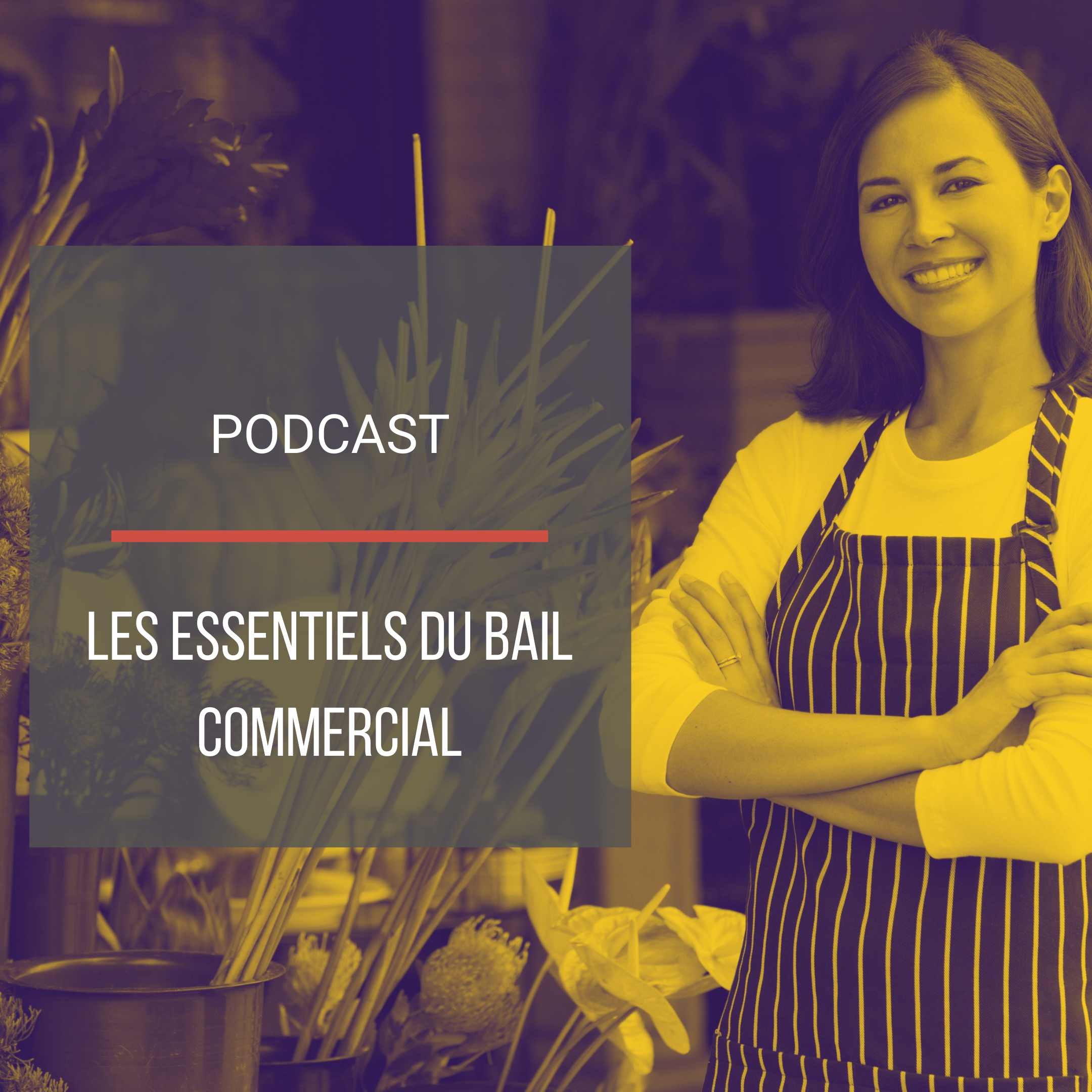 Podcast : Les essentiels du bail commercial