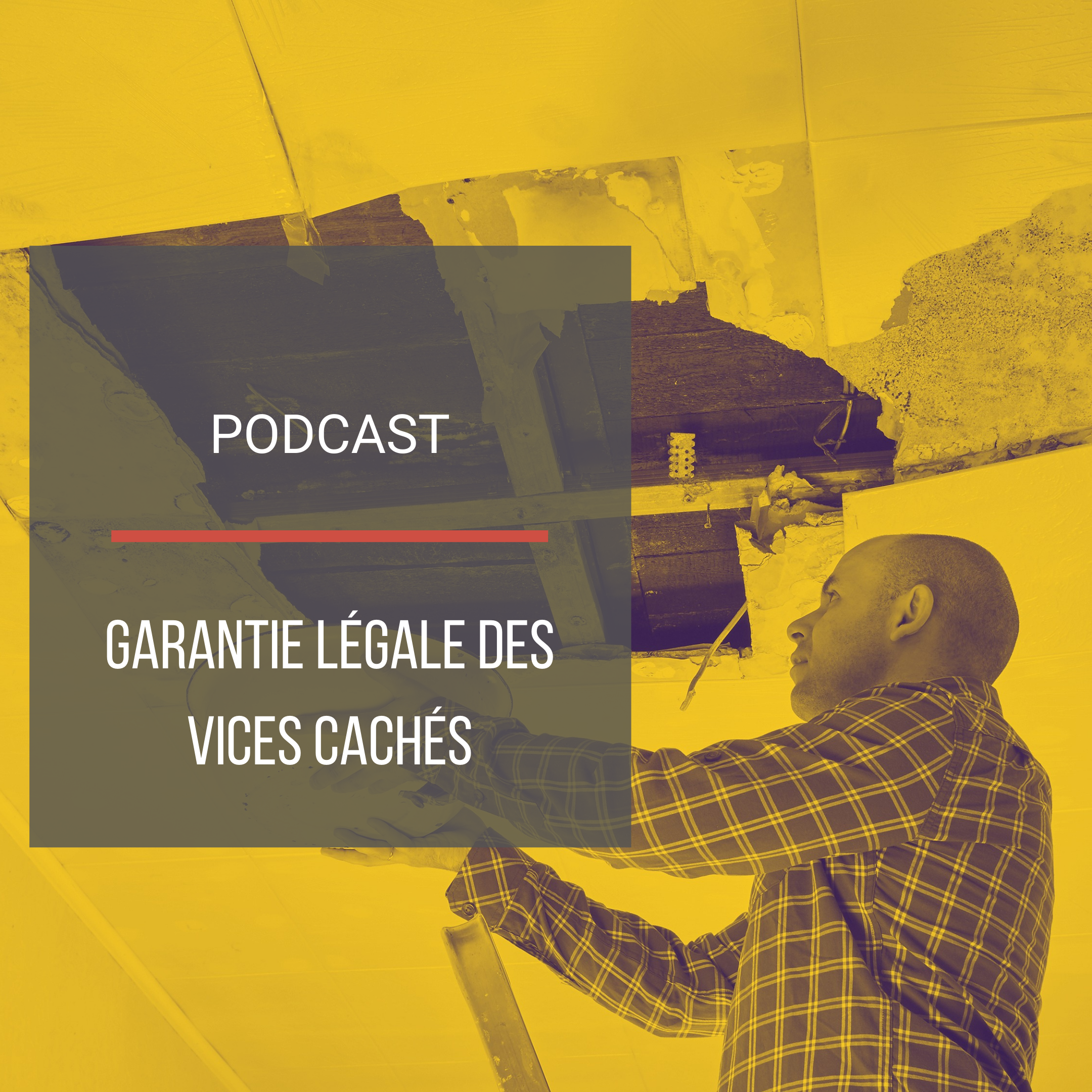 Podcast : La garantie légale des vices cachés