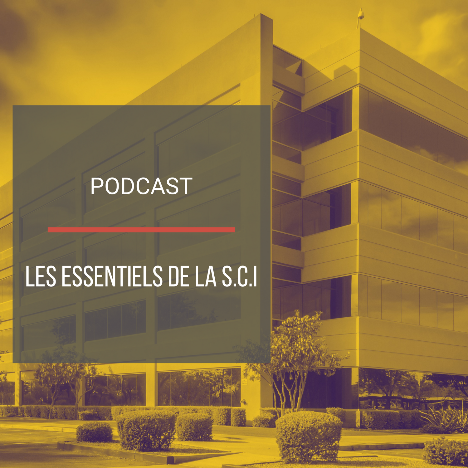 Podcast : Les essentiels de la SCI