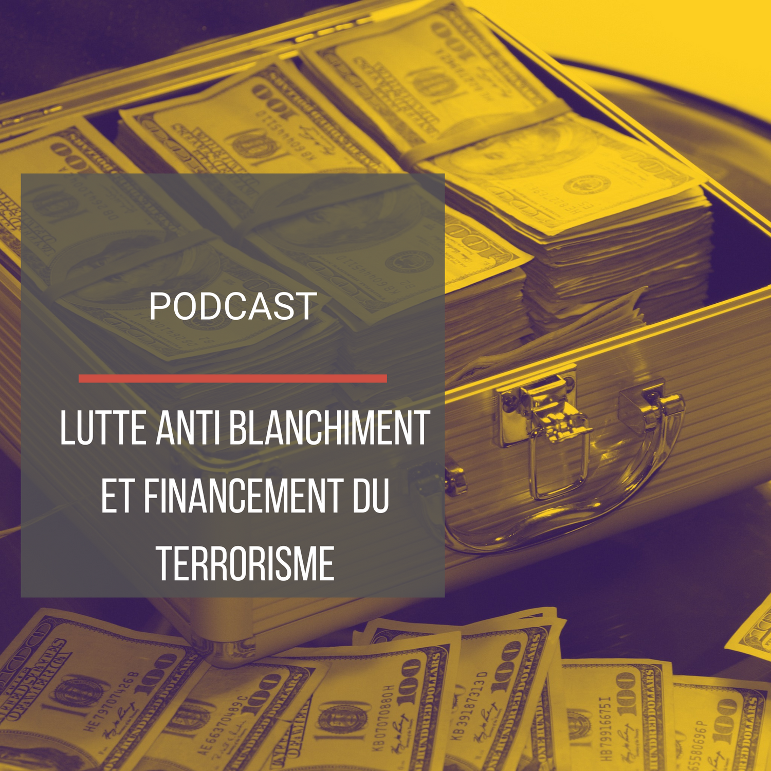 Podcast : Lutte anti-blanchiment et financement du terrorisme