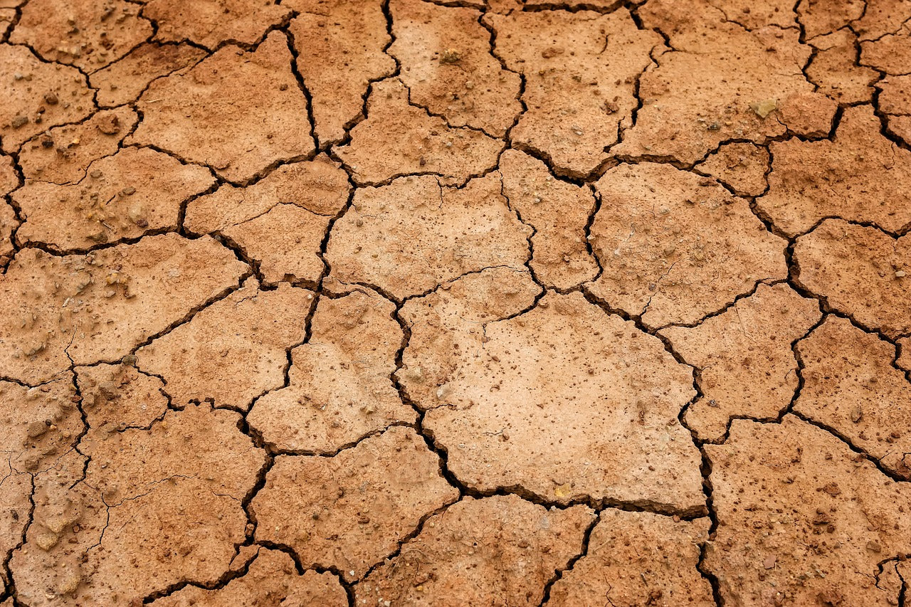 Pathologies - retrait-gonflement des sols argileux