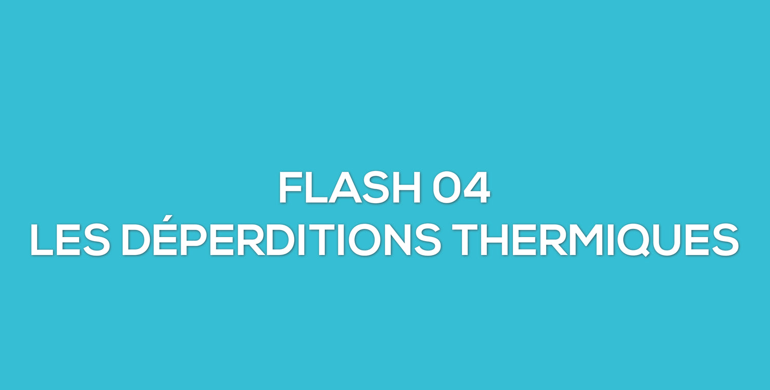 Flash 04