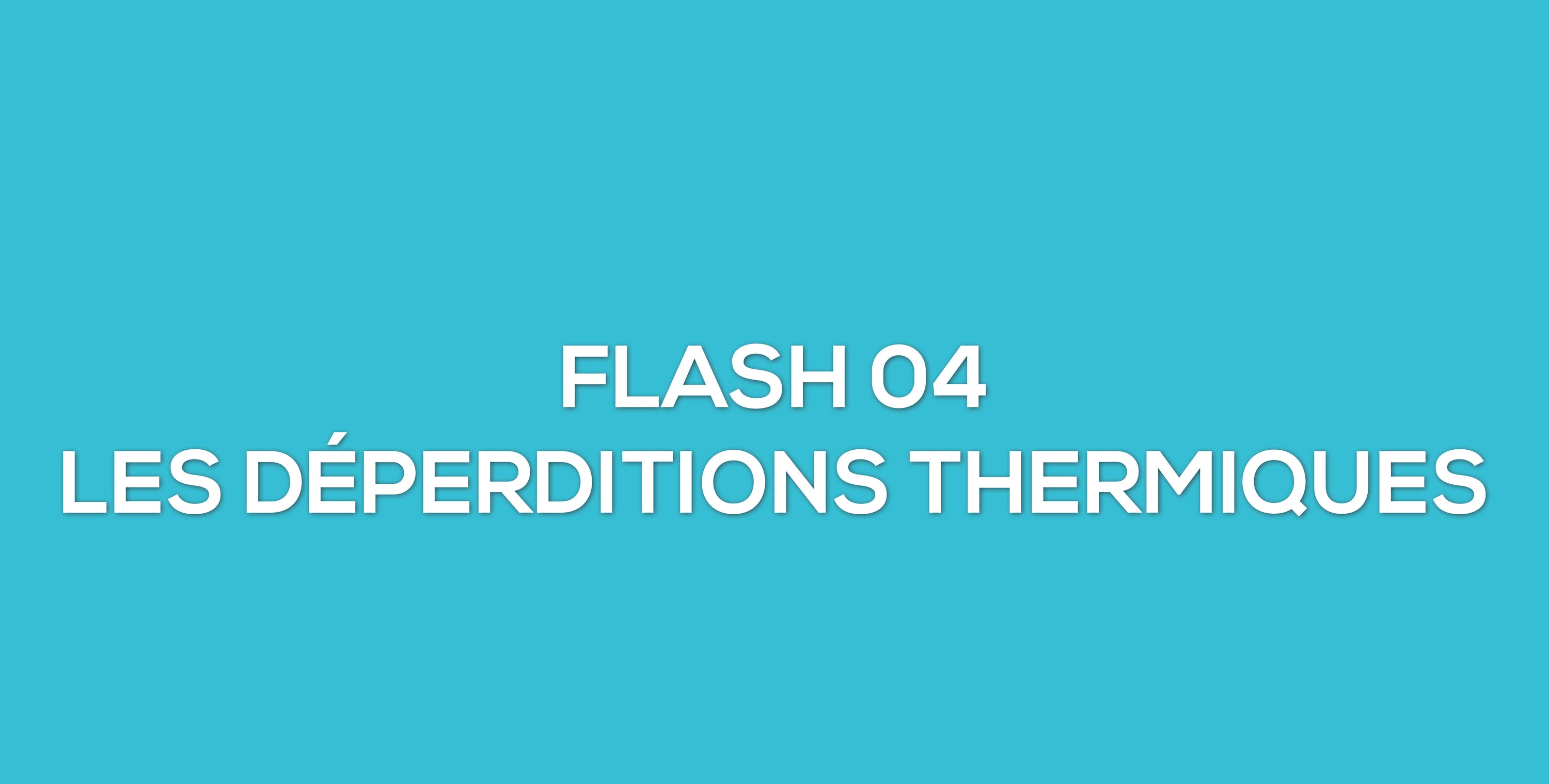 Flash 04