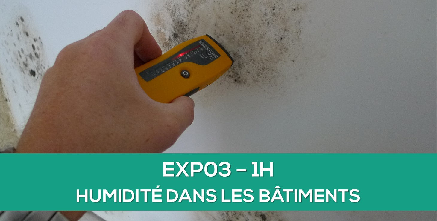pathologie humidité bâtiment