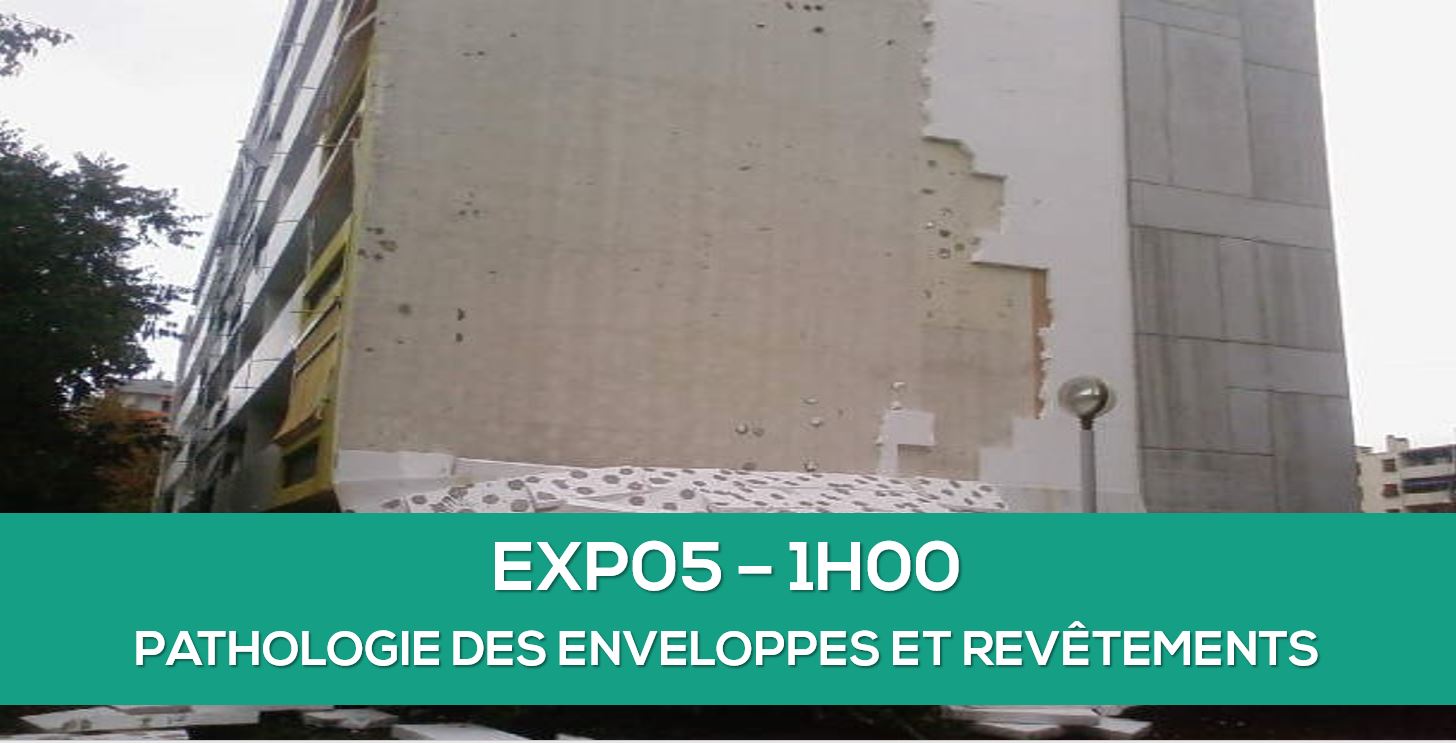 Pathologies enveloppes et revêtements