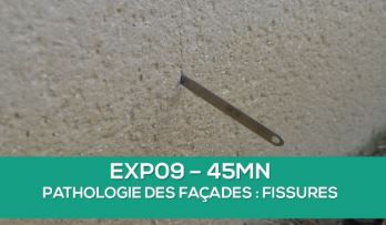 fissures
