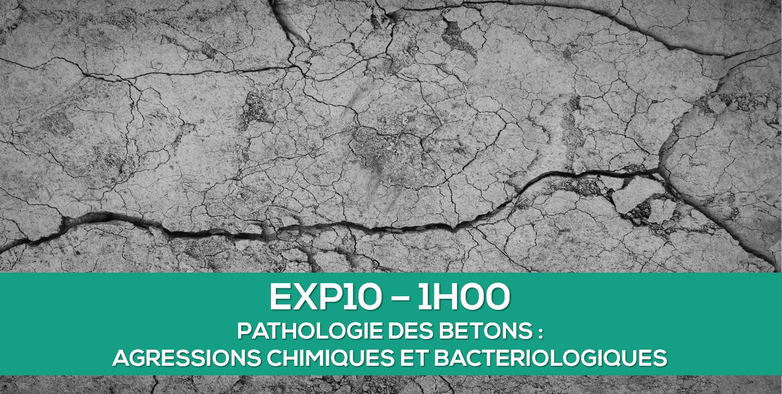 BETON PATHOLOGIE OFIB