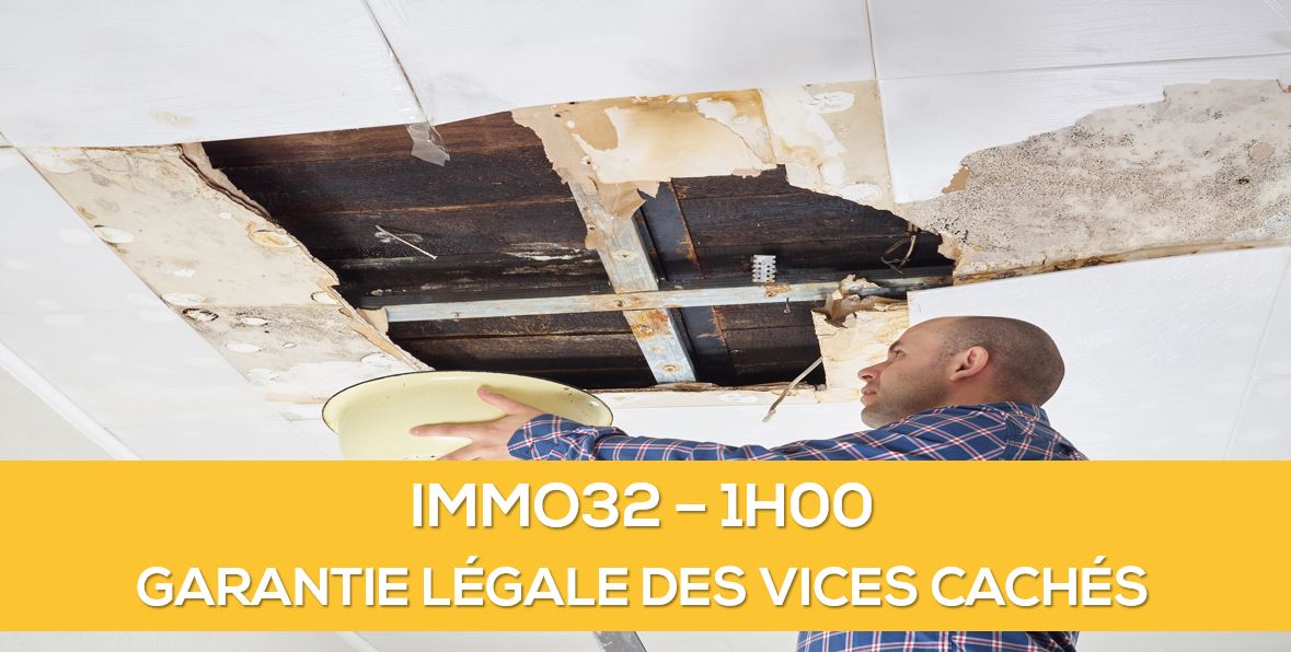 garantie vices cachés