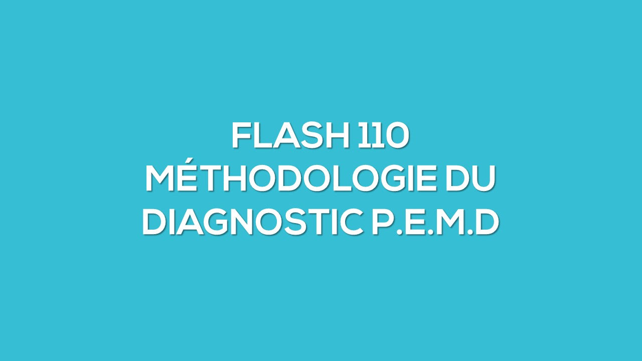 flash110