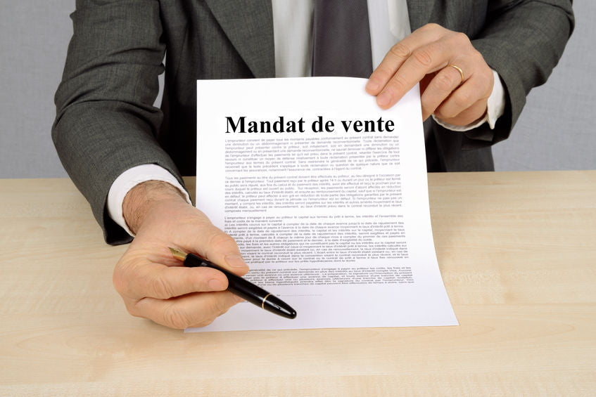 ALUR - Carte du professionnel immobilier (TRANSACTION - 28H)