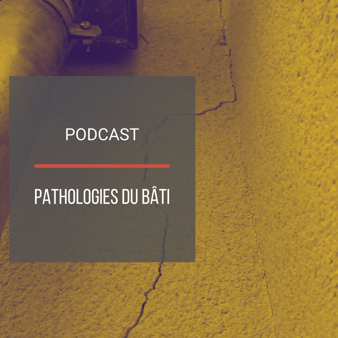 Podcast : Pathologies du bâti