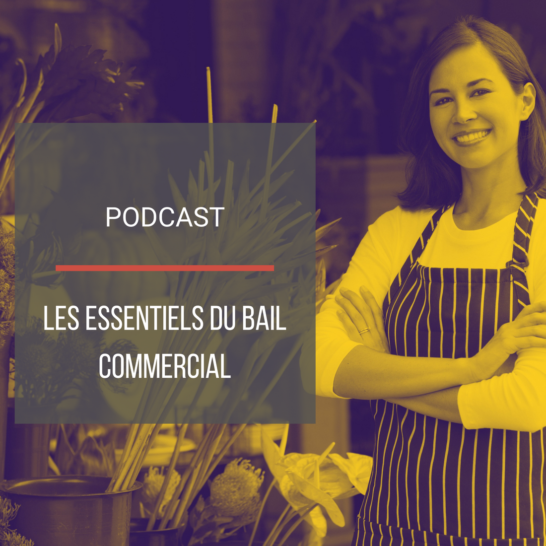 Podcast : Les essentiels du bail commercial