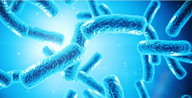 Diagnostic des Risques de Légionellose