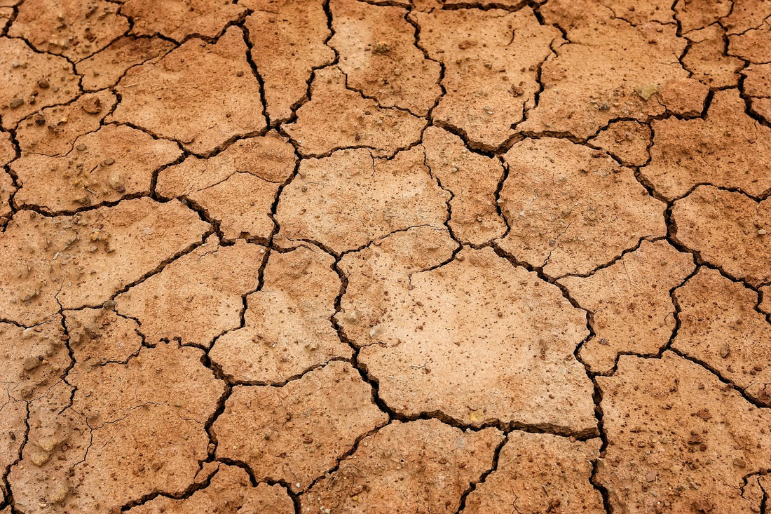 Pathologies - retrait-gonflement des sols argileux