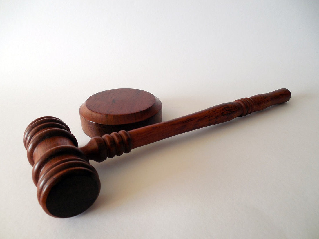 Bases Fondamentales du Droit