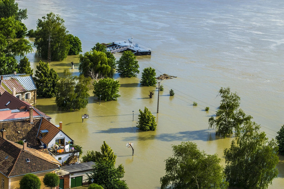 Expertise risques et catastrophes climatiques