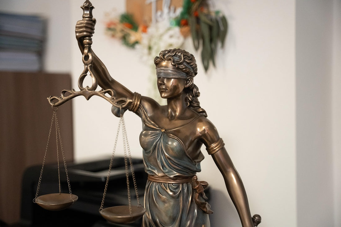 Les fondamentaux en droits utiles aux professionnels de l&