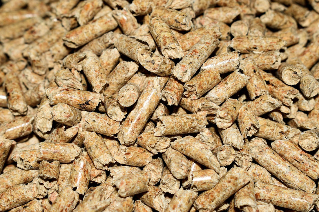 Biomasse