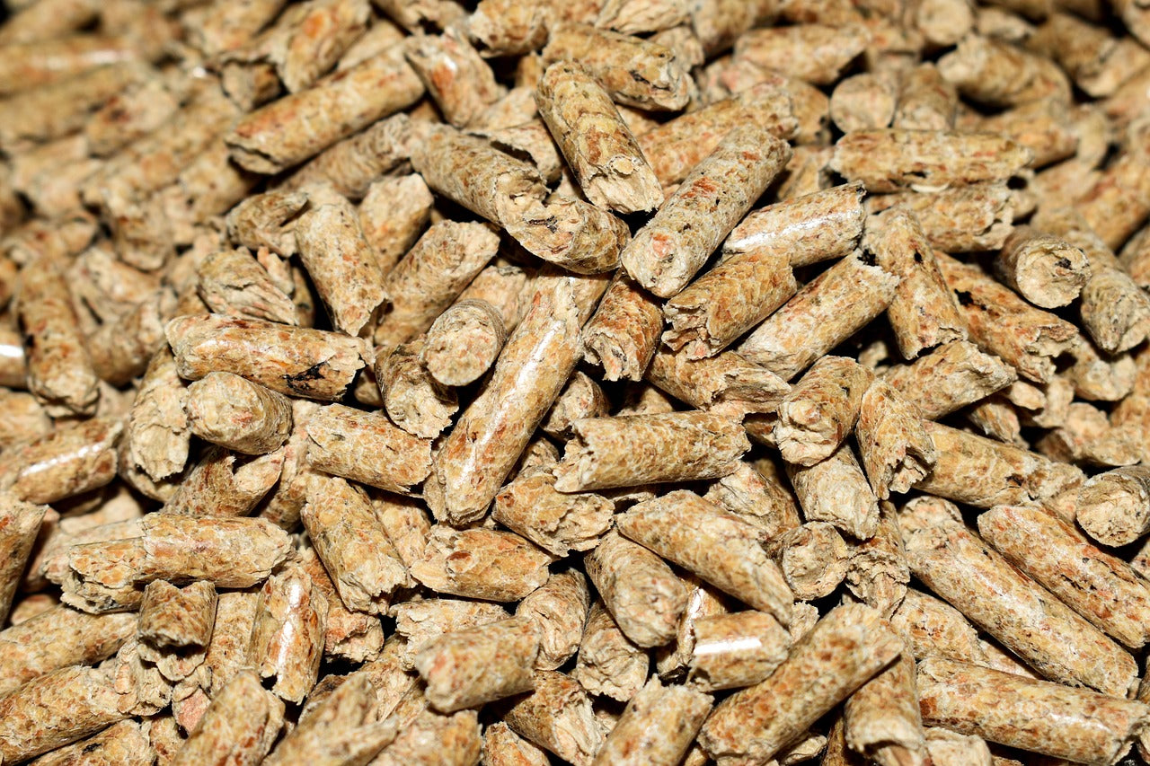 Biomasse