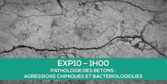 Nouvelle formation en ligne PATHOLOGIE DES BTONS (Agressions chimiques et bactriologiques)