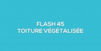 Flash-learning 45 - La toiture vgtalise