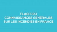 Flash-learning 103 - Connaissances gnrales sur les incendies en France